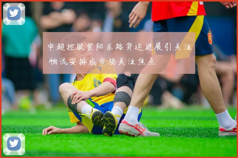 中超控股紫阳东路货运进展引关注 物流安排成市场关注焦点