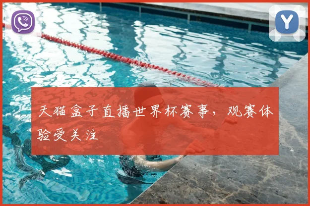 天猫盒子直播世界杯赛事,观赛体验受关注
