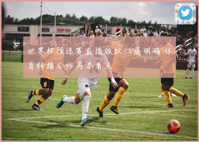 世界杯预选赛直播版权归属明确 体育转播合作再添看点