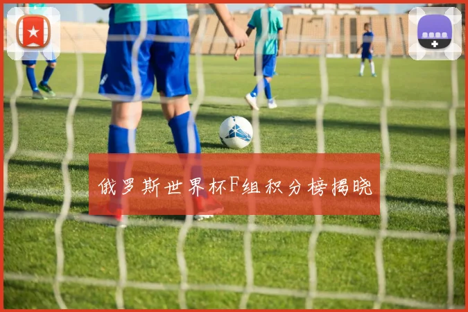 俄罗斯世界杯F组积分榜揭晓