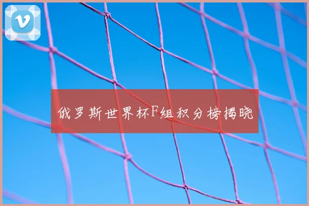 俄罗斯世界杯F组积分榜揭晓